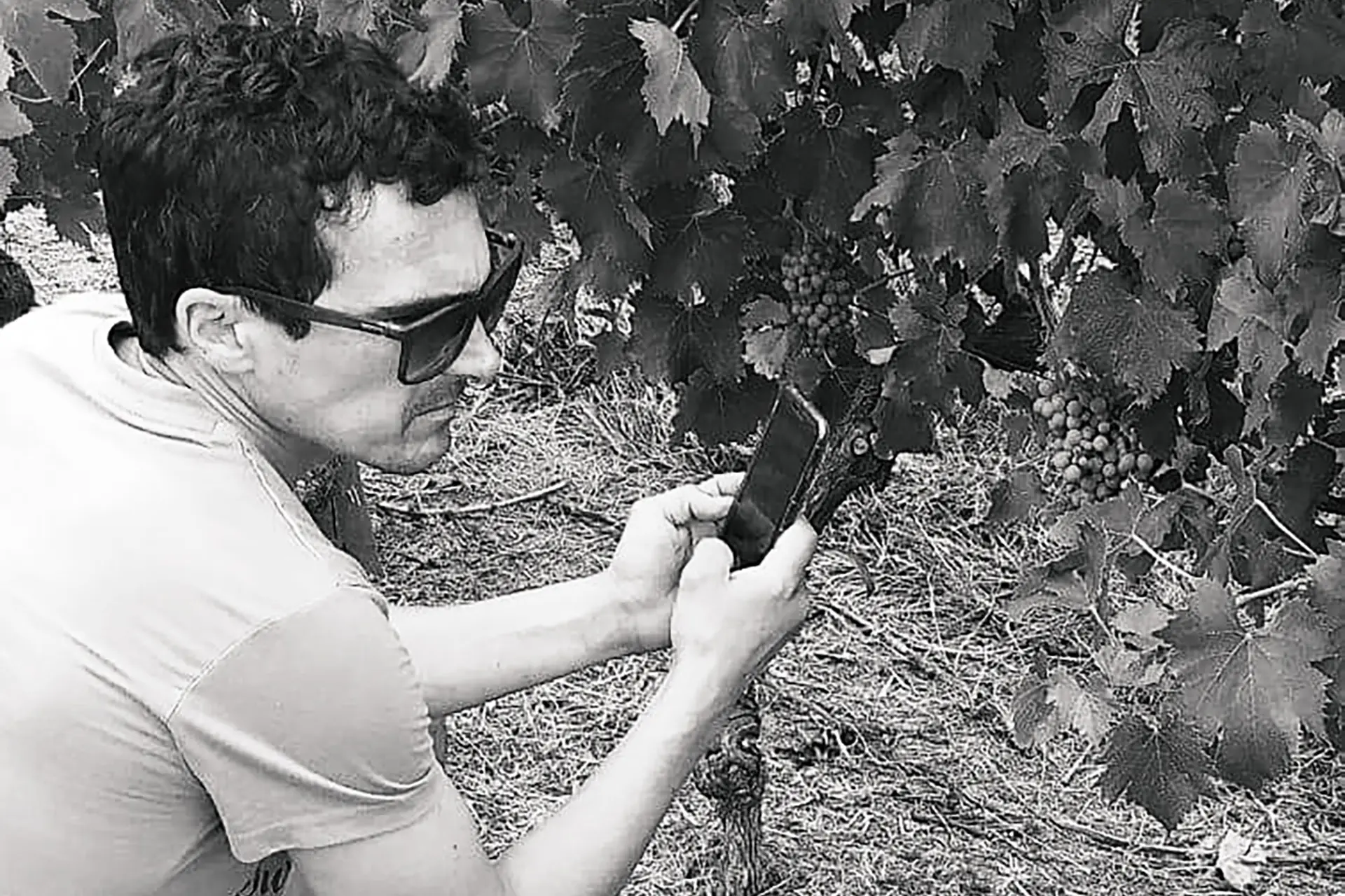 Finca Las Violetas